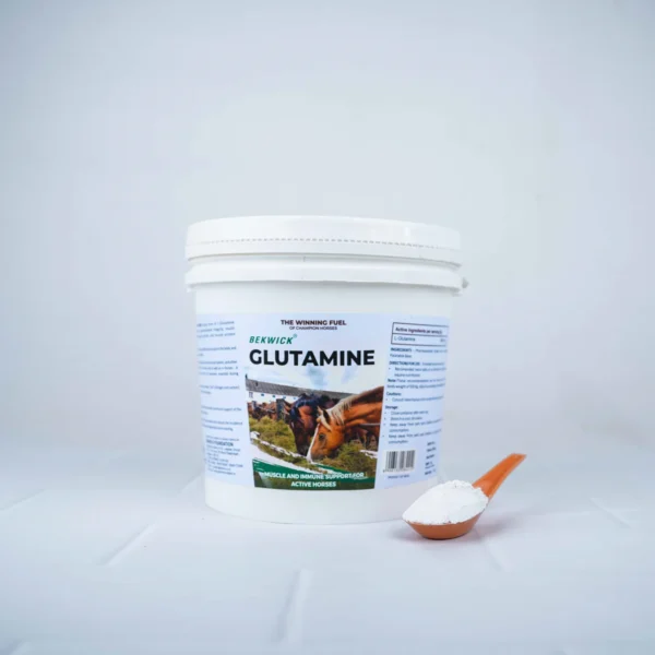 GLUTAMINE – BEKWICK